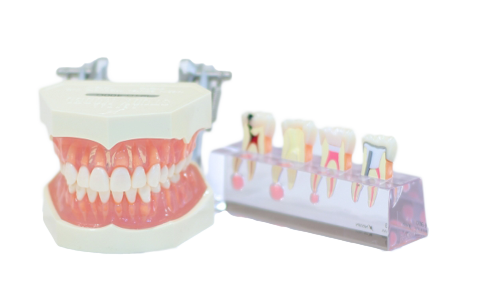 歯科用抗菌セメント