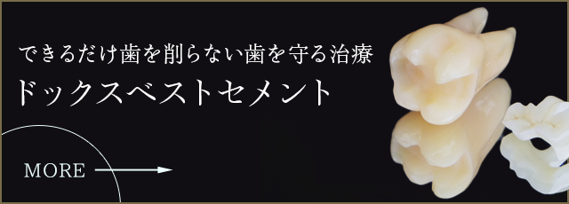 ドックスベスト
