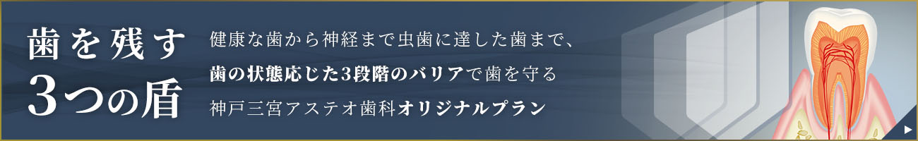 歯を守る3つの盾