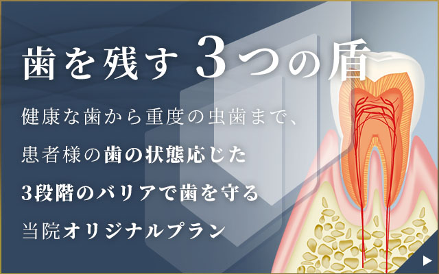 歯を守る3つの盾