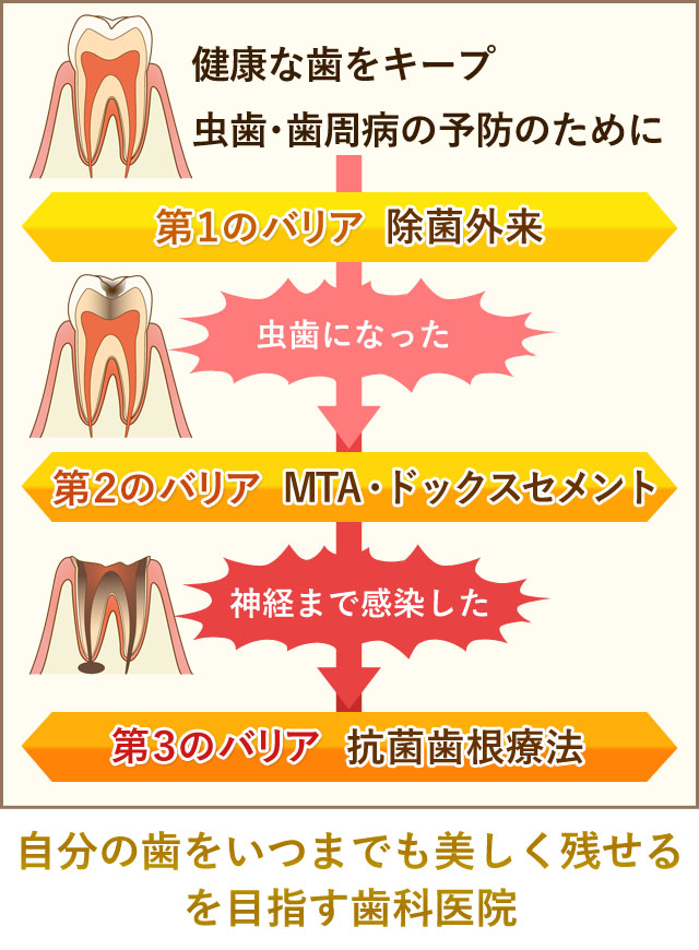 自分の歯を残す当院の3つのメソッド