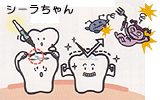 シーラント解説図2