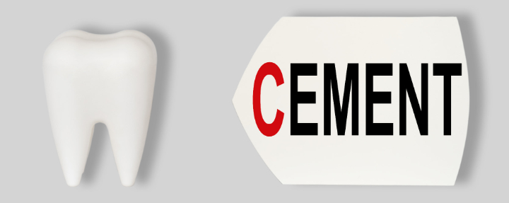 歯の模型にドックベストセメントを施術するイメージ