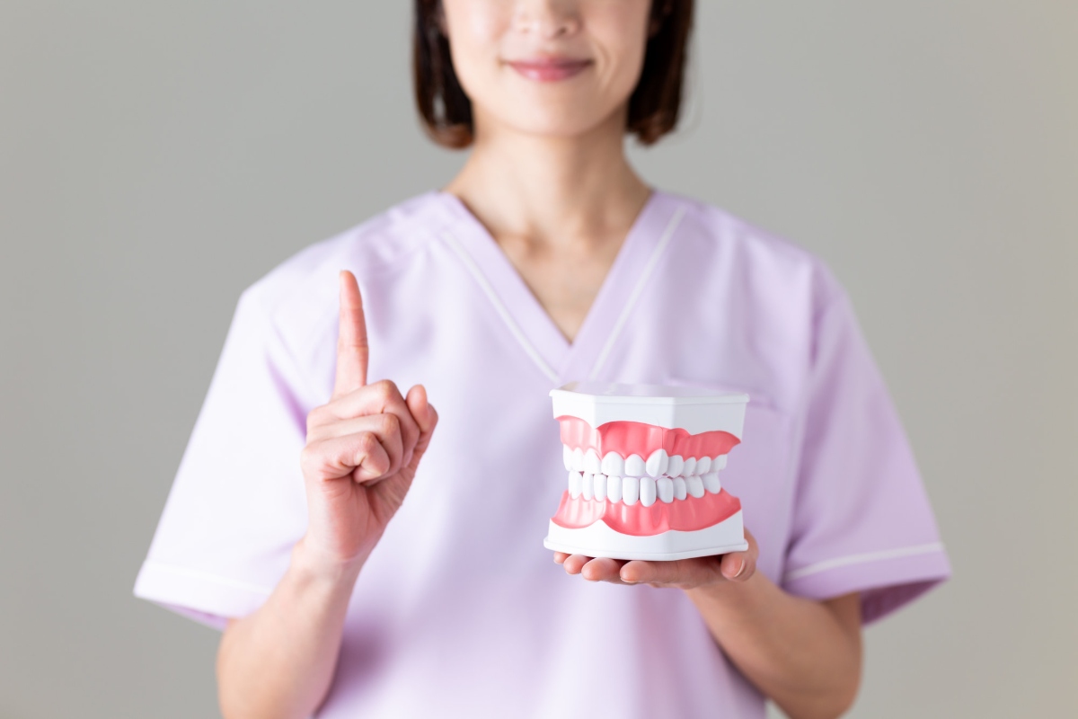 歯の模型を使って歯石がつく原因を説明する歯科医